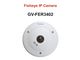 دوربین مداربسته تحت شبکه ژئوویژن تایوان GV-FER3402