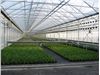 پوشش گلخانه ای سه لایه با عرض 14 متری با یووی 10 درصد