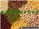 WE SELL WHEAT, FLOUR, CORN, BARLEY, RYE, GRAIN, PEAS, LENTLIS, MAIZE,