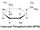 IPTG, Isopropyl β-D-1-thiogalactopyranoside, Isopropyl β-D-thiogalactoside