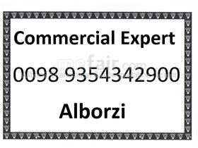 foreign commercial expert looking for a job in foreign companies in Iran
