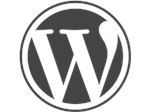 هاست وردپرس Wordpress