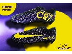 men stock soccer shoe CR7
