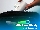 پاوربانک یونیوو مدل UN5000 Lightning ظرفیت 4500 میلی آمپر ساعت