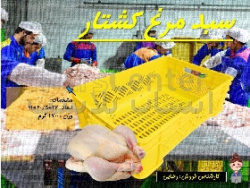 سبد کشتارگاه _ سبد مرغ کشتار 1700 گرمی _ سبد مرغ 17 سانتی