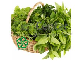 خرید و فروش و صادرات انواع سبزیجات خشک(شرکت پایار تجارت زمردین)