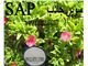 SAP- سوپر جاذب کشاورزی