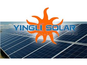 پنل خورشیدی 100 وات ینگلی