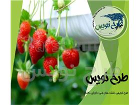 طرح توجیهی گلخانه توت فرنگی