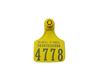 Ostrich collar tag tamper proof Yellow