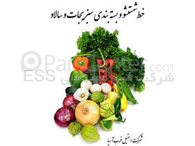 خط شستشوی سبزیجات ، سالاد ، میوه و بسته بندی WASI
