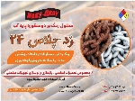 محلول زنگ زدای صنعتی دومنظوره پیشرفته زد-پلاس24 (Z-PLUS)