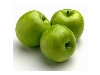 سیب سبز فرانسه؛ نهالستان تک فیدان