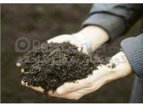 فروش خاک پوششی پاستوریزه پرورش قارچ بصورت بسته بندی شده