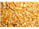 Yellow corn for Animal feed from Russia