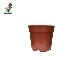 گلدان کشاورزی 8 سانتی‌متری