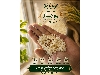 برنج طارم هاشمی ممتاز کشت اول فریدونکنار سورت و بوجار شده