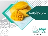 اسانس انبه مقاوم به حرارت خوراکی طعم دهنده انبه خوراکی و تنباکویی
