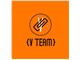 VTeam تیم اجرایی