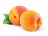 نهال هلو گلدن کوئین Golden Queen peach