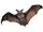 دورکننده و فراری دهنده خفاش از سقف کاذب