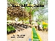 ماشین خاک پرکن - دستگاه کیسه پرکن نهالستان و گلخانه