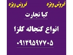 کنجاله کلزا