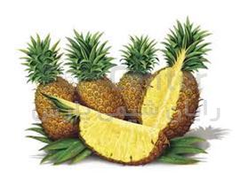 اسانس آناناس ، طعم دهنده آناناس فرانسوی