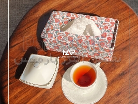 جعبه فلزی دستمال کاغذی با درب بازشو