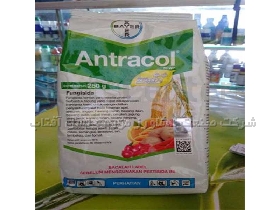سم قارچ کش Antracol