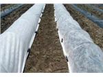 پلی باند محافظ محصولات زراعی در برابر سرمازدگی و آفات