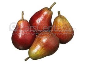 درخت گلابی قرمز طلایی/ درسال 1402 Red Sensation Pear