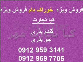 گندم و جو بذری