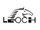باتری leoch