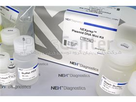 NEXprep™ Plasmid DNA Mini Kit