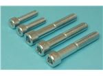 stainless steel Allen bolt