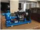 Engine driven (Diesel) FIRE Pump