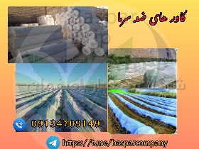 فوم ضد سرما