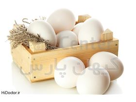 تولید وفروش تخم مرغ صادراتی و مصرف داخلی