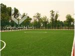 اجرای چمن مصنوعی فوتبال
