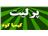 پرلیت