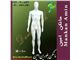 مانکن مردانه (پلاستیکی ، فایبرگلاس و نشکن)