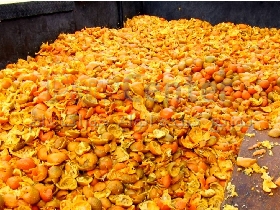 تفاله پرتقال