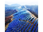 واردات پنل خورشیدی از چین