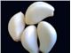 سیر منجمد (Frozen Garlic) آریازر