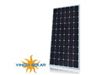 پنل خورشیدی 100 وات Yingli
