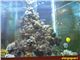 آکواریوم  دریایی آب شور  3000 لیتری