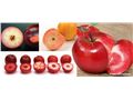 ورود واریته های سیب اصلاح شده با گوشت قرمز به بازارهای بین المللی در آینده ای نزدیک