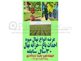 باغ گیاه شناسی مشهد،باغ گل‌های رز،باغ گیاهان رویشی ایران سال 1402