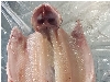 فیله بدون سر و دم پروانه ای قزل آلا